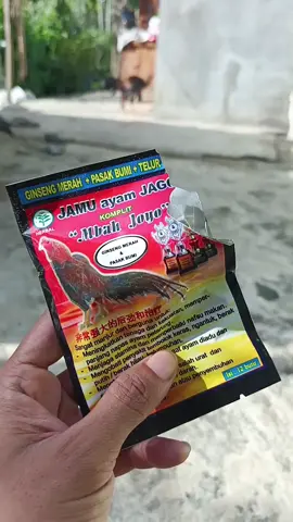 Jamu mbah joyo sangat terbukti dan bermanfaat untuk ayam kesayangan #peternakmuda  #jamumbahjoyo  #ayambangkoksuper 
