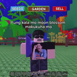 Araw kopo 😔🥀 • • • • #fyp #blowthisup #roblox #growagarden #aldenrichards #meme #moonblossom 