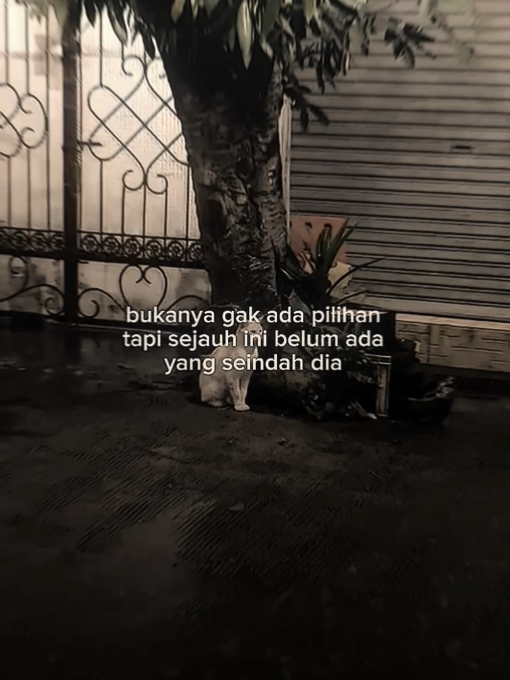buakanya gak ada pilihan tapi sejauh ini ada yang seindah dia  #storywa #storywhatsapp #storykehidupan #storysad #storytime #galaubrutal #storyjj #jjstory #masukberanda #fyp24jam 