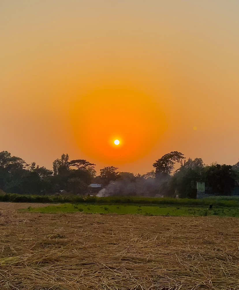 শান্তি হারিয়ে ফেললে, মূল্যবানও মূল্যহীন লাগে, তাই যা কষ্ট দেয়, তা ছেড়ে দেওয়াই ভালো ⋆࿐🥲💔 #প্রকৃতি #sky #tree #fyp #fypシ #fypシ゚viralシ #unfrezzmyaccount #tiktok #shorts #song #weather #views #reels #nature #natural #scenery #foryou #trending #viral #viralvideo #sunset #village #NaYaN #NaYaN56 @TikTok @tiktok creators @TikTok Bangladesh 