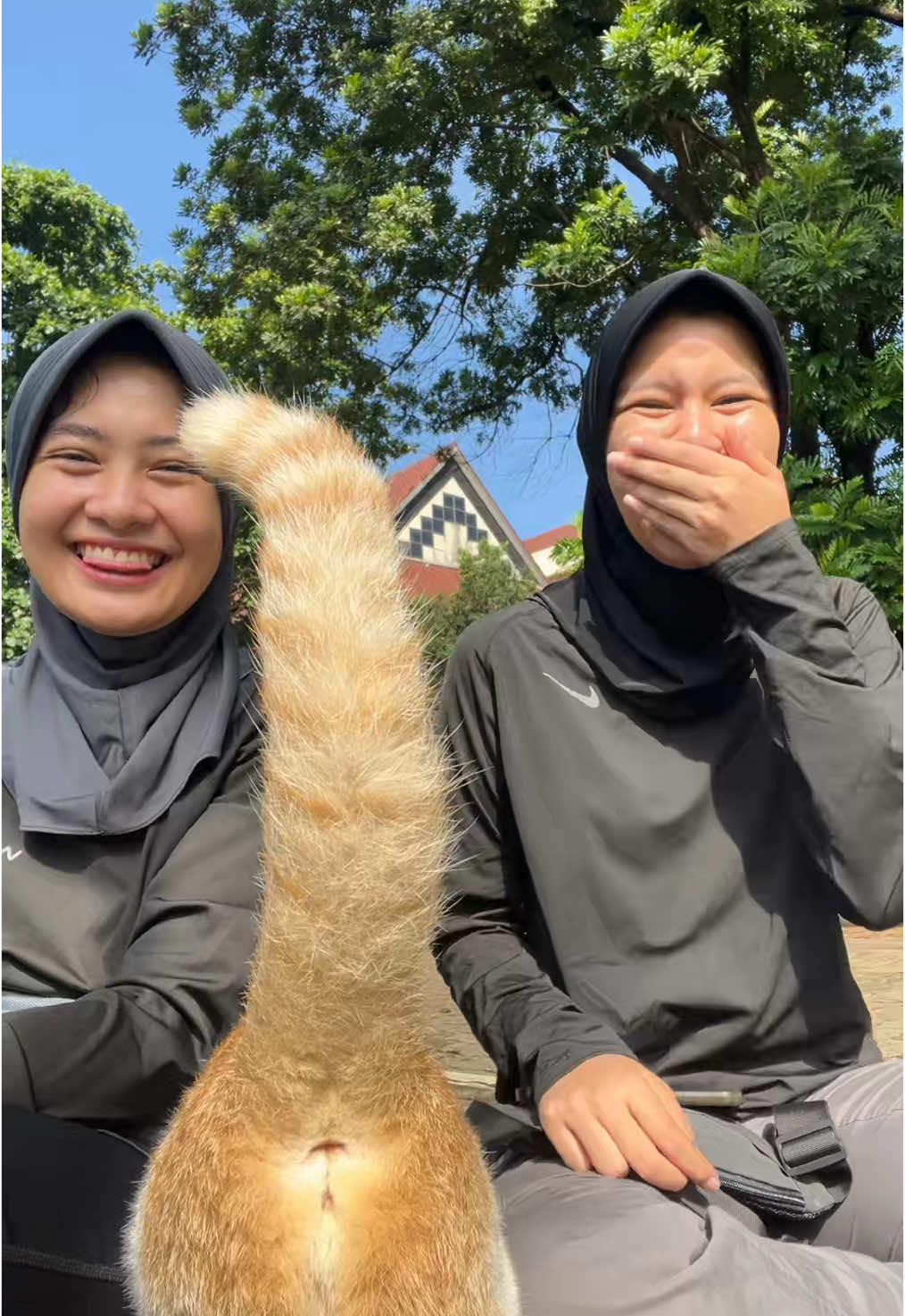 hey 👋🏻 hey 👋🏻 kameranya di sini