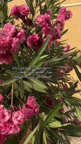 استمتع بالهدوء الصباحي وتأمل جمال الطبيعة، هذه اللحظات الصغيرة هي التي تصنع الفرق#مشاهير_تيك_توك_مشاهير_العرب🌺💜 #اكسبلورexplore❥🕊🦋💚❤🕊️ #اكسبلورexplore❥🕊🦋💚❤🕊️،اভীষণتصميمب #اكسبلورexplore❥🕊 