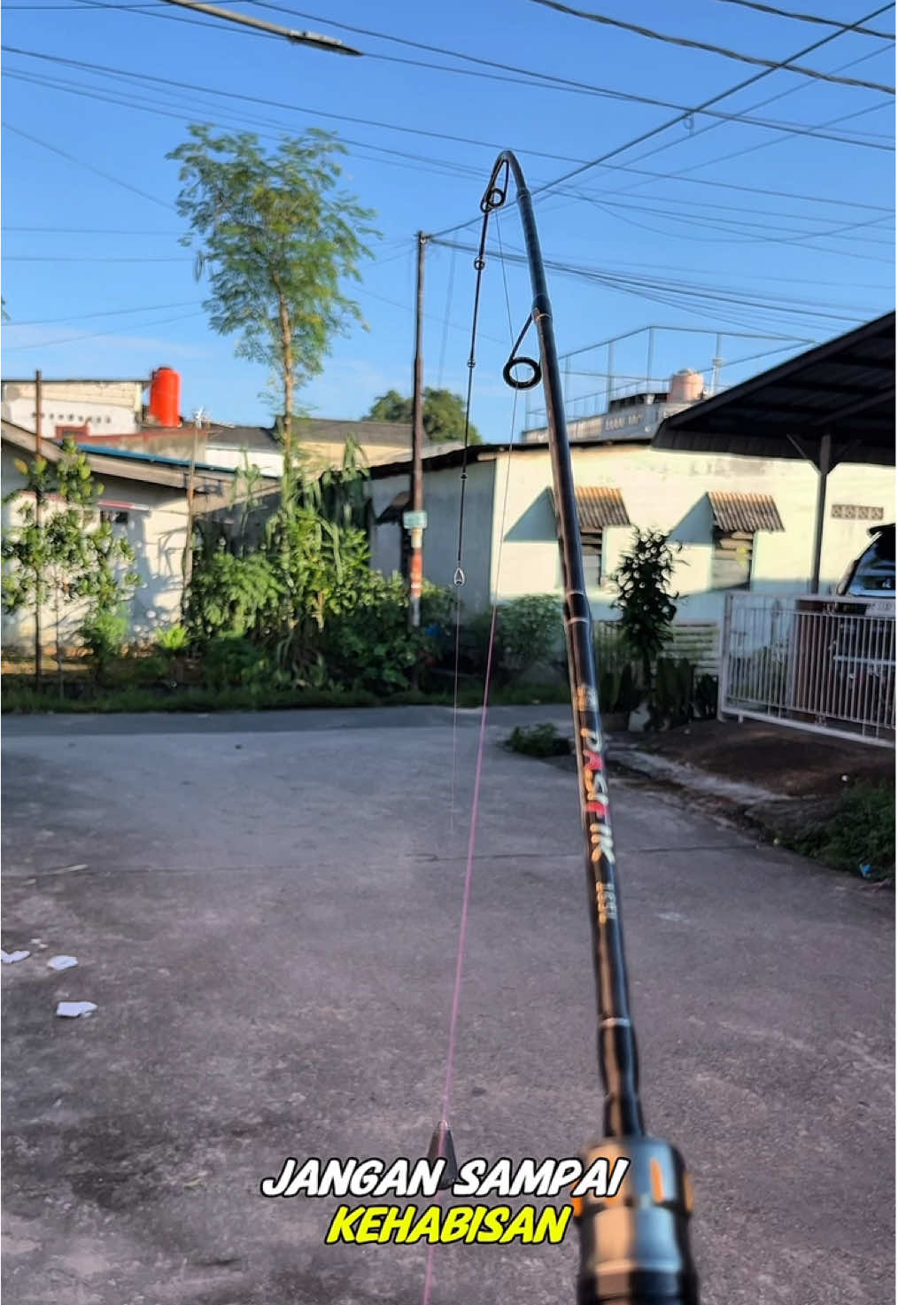 Ringgan,Kuat, Lentur, MURAH !!  Ini Adalah Joran Pancing Dari Pacifik Lure Golden Bahan Carbon Solid Panjang 165cm,180cm,198cm #joranpancing #joranspining #jorancasting #joranul #joranultralight #joranluregolden #mancing #mancingmania #fyp #fypage 