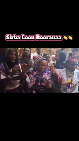 Sirba loon Booranaa #boranatiktok #oromotiktok #borana #fyp #viralvideo #moyale #halakejaldessa 