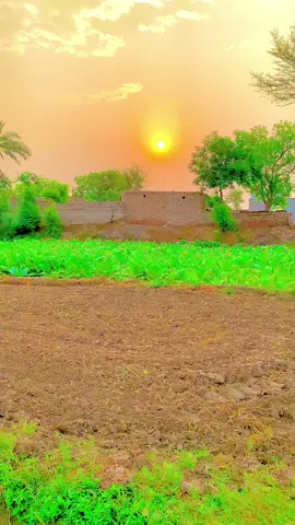 #pind #jutt #pindawale 