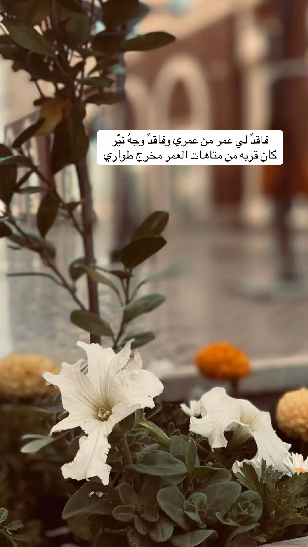 #إكسبلور #لايكات #الفقد #العمر #الدنيا #الوداع #الغياب #السنين #الهجر #الدموع #البكاء #الحب #الحنين #الغدر #الخيانة #الوفاء #السفر #شعر #خواطر #القصيم #الرياض #السعودية #قطر #الامارات #الكويت🇰🇼 