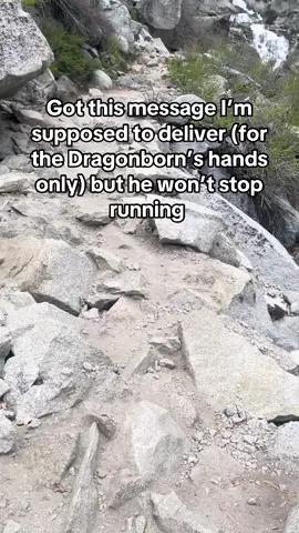 Brother just wanna give you the letter slow down! #rustthebezrk #nationalpark #sequoianationalpark #skyrim #gaming #meme #funny #nature 