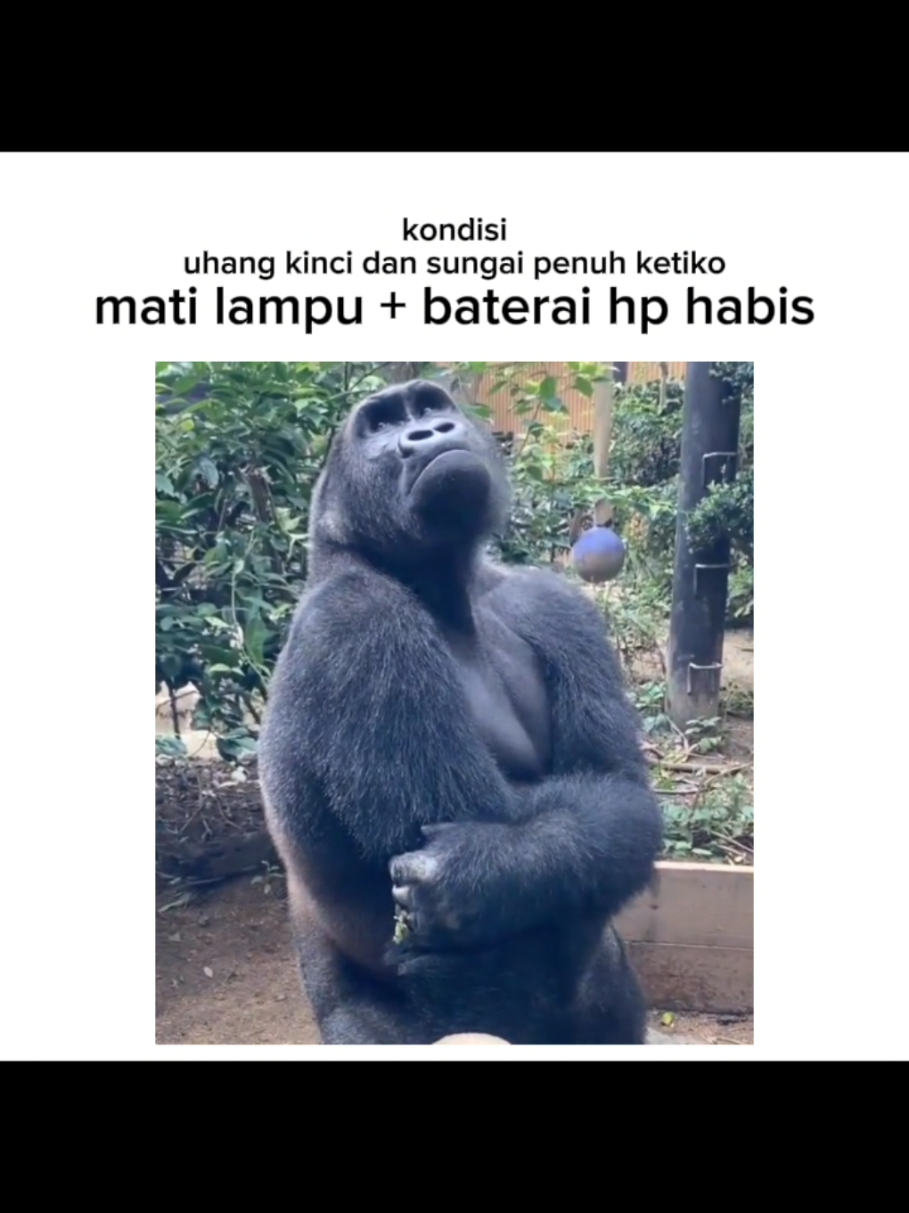 #katakatakerinci #viral #kerincijambi #memekerinci #fypシ゚viral #quotekerinci #xyzbcafypシ #followme #fyp #kerinci #kerinci_jambi_indonesia #kerincisungaipenuh #sungaipenuh #matilampu 