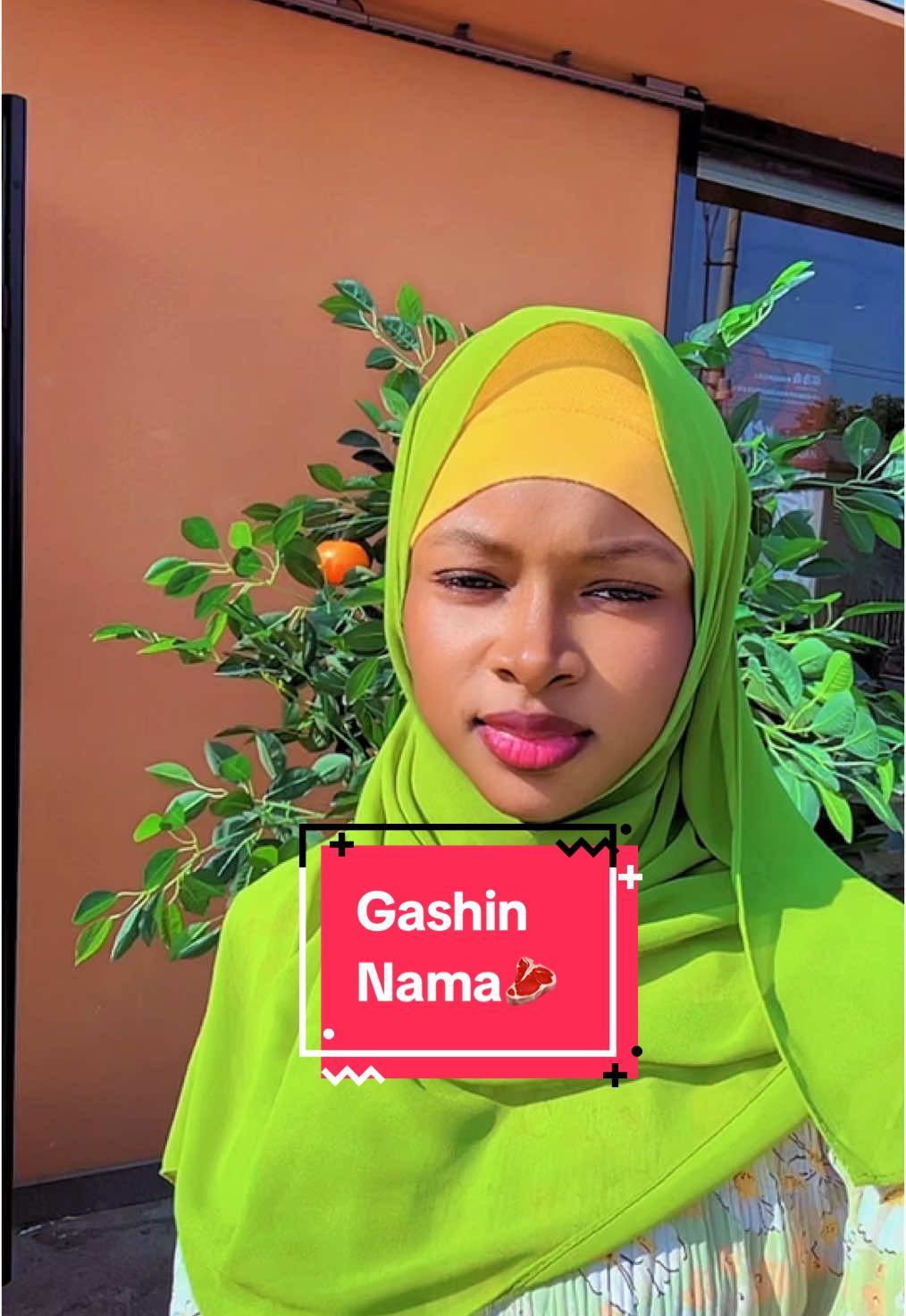#hausa #nigerian #aishamaikano977 @Dan Bello @fatima maikano @Home of packs nd deco 