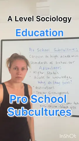 A Level Sociology - Pro School Subcultures 🐻🤓 #sociology #fyp #Alevels2025 #sociologyalevel #alevelsociology #sociologyteacher #revision #paper1 #teachersoftiktoktok #sociologytutor #teachersociology 
