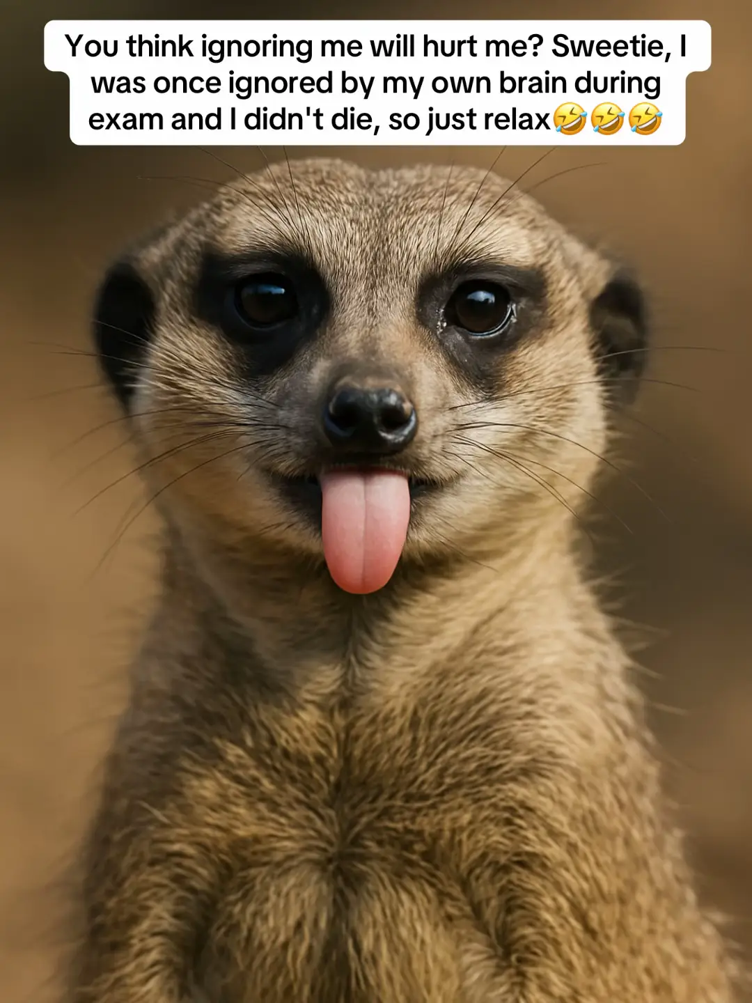 #exam #brainfreeze #memesdaily #justforlaughs #funnytiktok #blank 