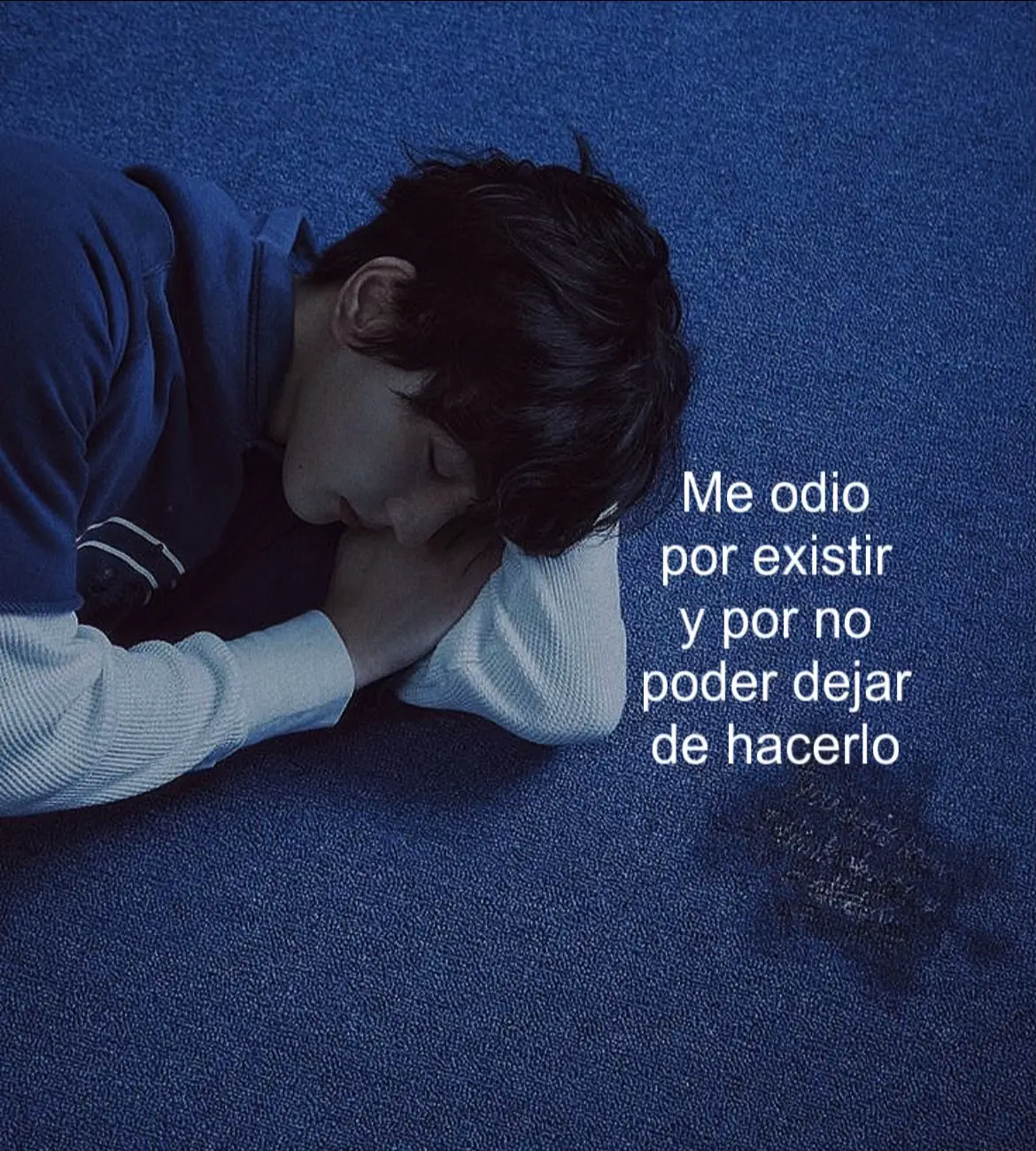 en fin, me odio #podercerdito❤️ #🐽 #🐽 #noflopplease #xybca #desahogo #fypシ゚ #kpop #tiktokponemeenparati #menosflopmasapoyo #texto #noestoybien #saludmental 