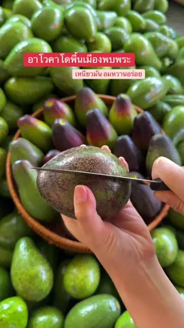 #avocado #อาโวคาโด #ผลไม้ #อะโวคาโด #tiktok 