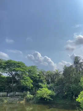 দুপুর বেলা রোদের হাসি, চুপচাপ বয়ে যায় বাতাস খুশি। একটু ক্লান্তি, একটু ঘুম, বাতাসে বাজে স্বপ্নের সুম।🕊️🤍#foryoupage❤️❤️ #bdtiktokofficial🇧🇩 #trending #grow #tiktokviralvideo @TikTok 