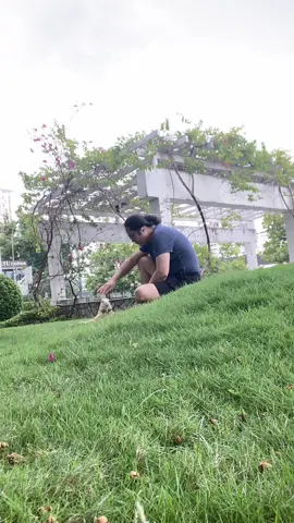 Dạ, mộc nghệ - kỹ tuyệt hạng cẩn ốc xà cừ - Minh kính mời Quý vị xuôi con đường Cái quan Nam Trung Bắc. Một nền Kỹ nghệ Cẩn ốc xà cừ Vô địch trên Hoàn vũ. Đất nước mình Văn Minh Văn Hiến nhiều Ngàn năm, rất Vĩ đại, hơn cả Vĩ đại, kính thưa Quý vị. #đammêmỹnghệ #minhphannguyen6 #mỹnghệ #mỹthuật 