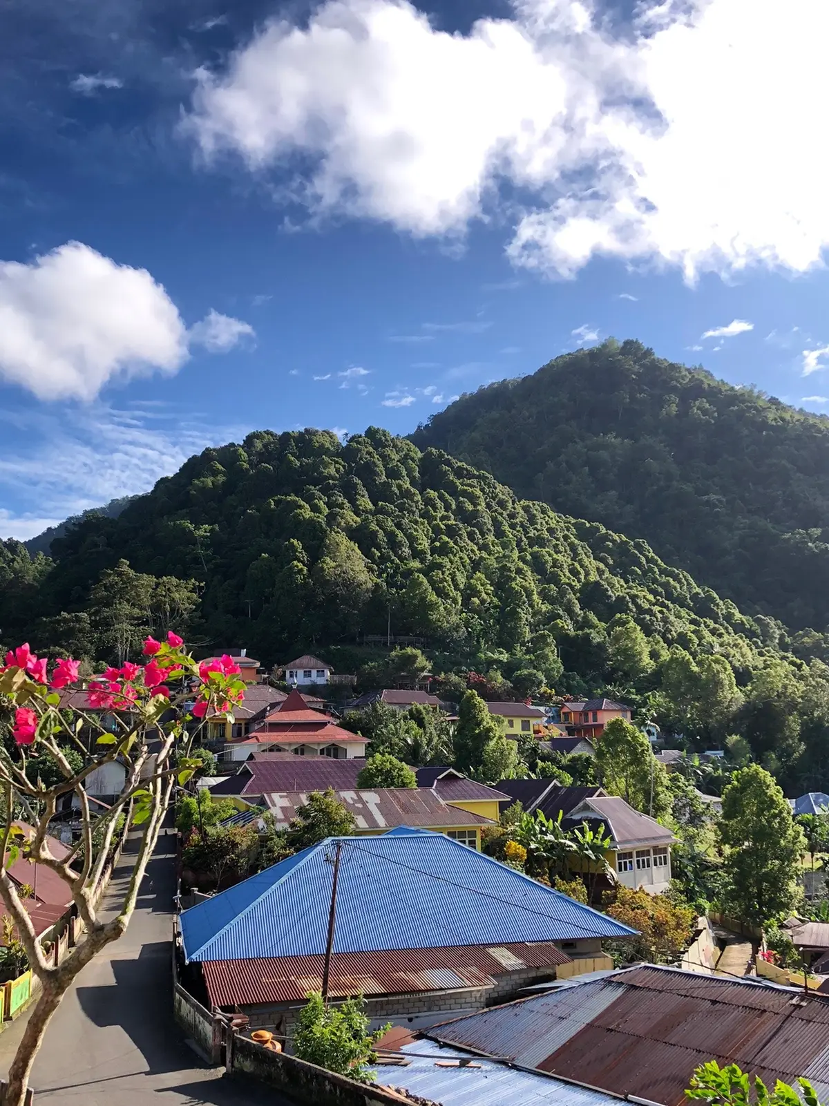 @Folila Cafe Views😍 #tidore #kalaodi #views #folilacafe #senja #sunset #fyp 