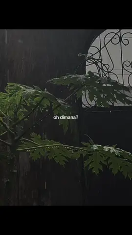 yang datang duluan dia, yang mulai duluan dia, yang ngasih harapan dia, tapi yang pergi juga dia.