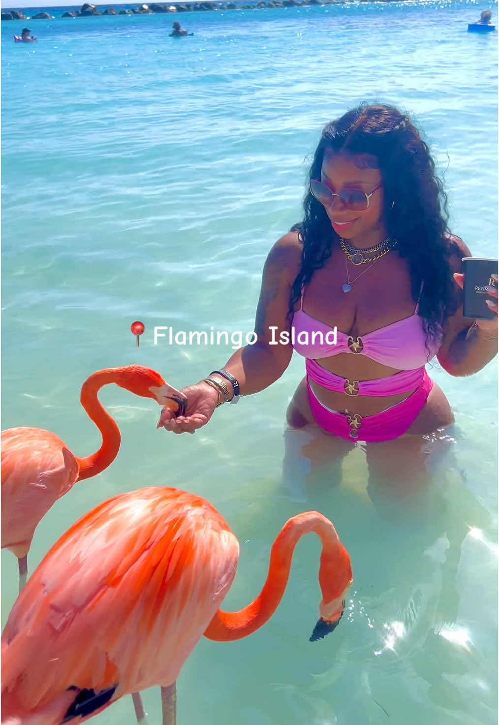 Book that Trip! #aruba #flamingoisland #thingstodoinaruba #renaissancewindcreekarubaresort #renaissanceisland #flamingobeach #flamingo 