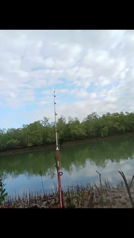 Sensasinya tarikannya itu yang selalu di tunggu2 🎣 #salamsatuhoby🎣🎣🎣🎣 #ntt #engler 