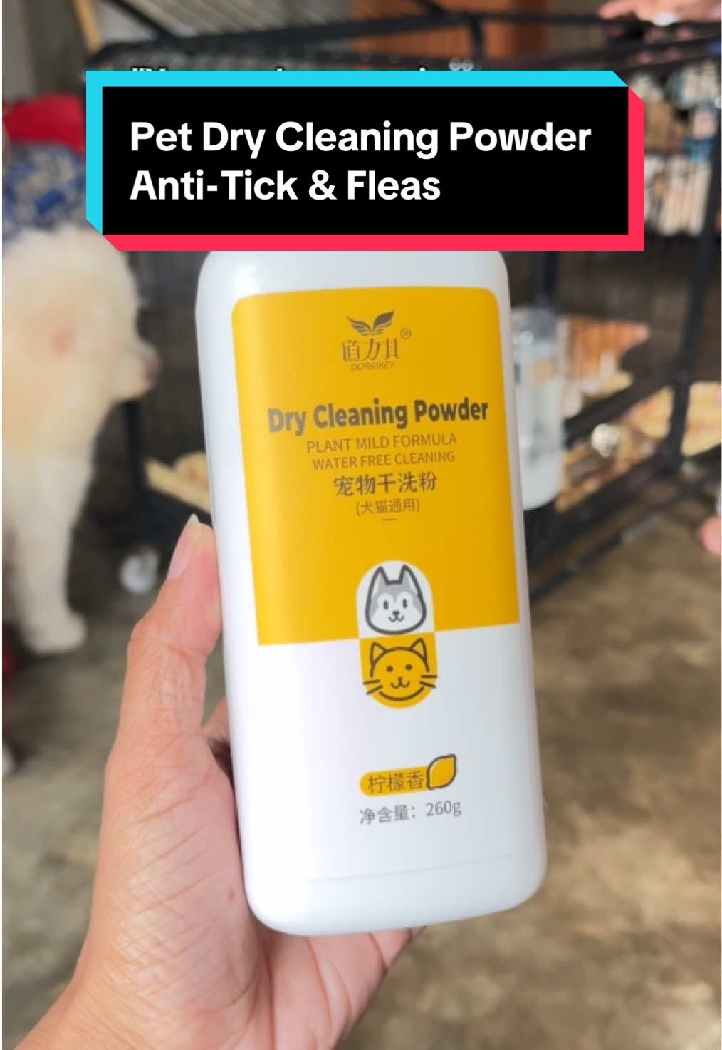 No Ligo No Problem dahil sa Dry Cleaning Powder nato amoy fresh na always 😍🐱 #petdrycleaningpowder  #drycleaningpowderfcats #drycleaningpowderfordogs #catlover #doglovers #PetsOfTikTok 