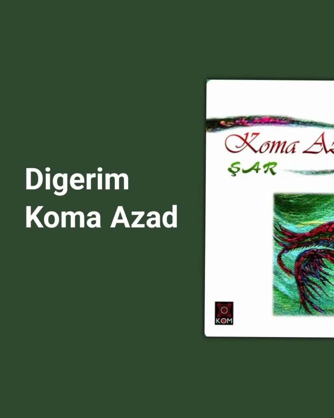 #dıgerimnagerim 