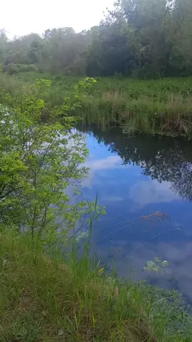 Природа-найкращий лікар для душі💚💚💚❤️#весна #Summer  #післядощу #природа #nature  #україна #ukraine #врек #врекомендації 
