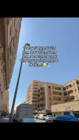 Bolo pioooooooo.?🥺👍#viral #video #tiktok #grow #foryou #foryoupage #its_shawon_1 #01234mytest #100k 