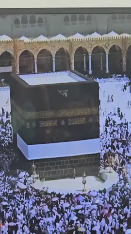 #بسم_الله_الرحمن_الرحيم 
