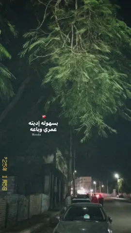 #تامر_عاشور #الحب❤️ 