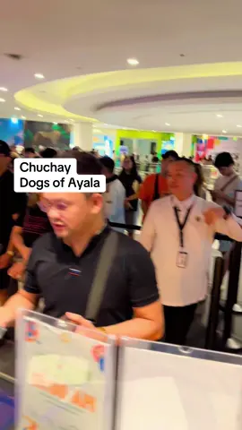 In a world full of chaos theres Chuchay!  Our famous dog here in FT have her own furriority lane. #dogsofayala #chuchay #FTCinemas #FinalDestinationBloodlines #Blockbuster #AyalaMalls 