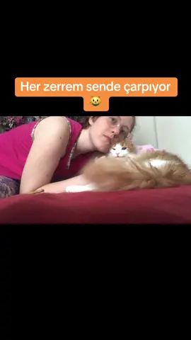 Manitamızyok ama oğluşumuz var.😺👼🏽 akıma böyle katılalım dedik #benekli #kedi #oğlum #oğluş #benoş #turuncukedi #orangecatsoftiktok