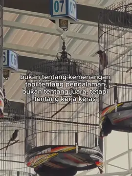 semua bisa terjadi diatas lapangan 🥲 #muraibatu#muraibatuindonesia 