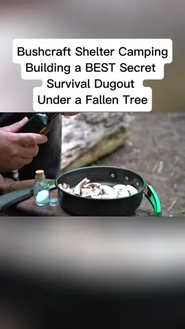 Bushcraft Shelter Camping; Building a BEST Secret Survival Dugout Under a Fallen Tree#camping #campinglife 