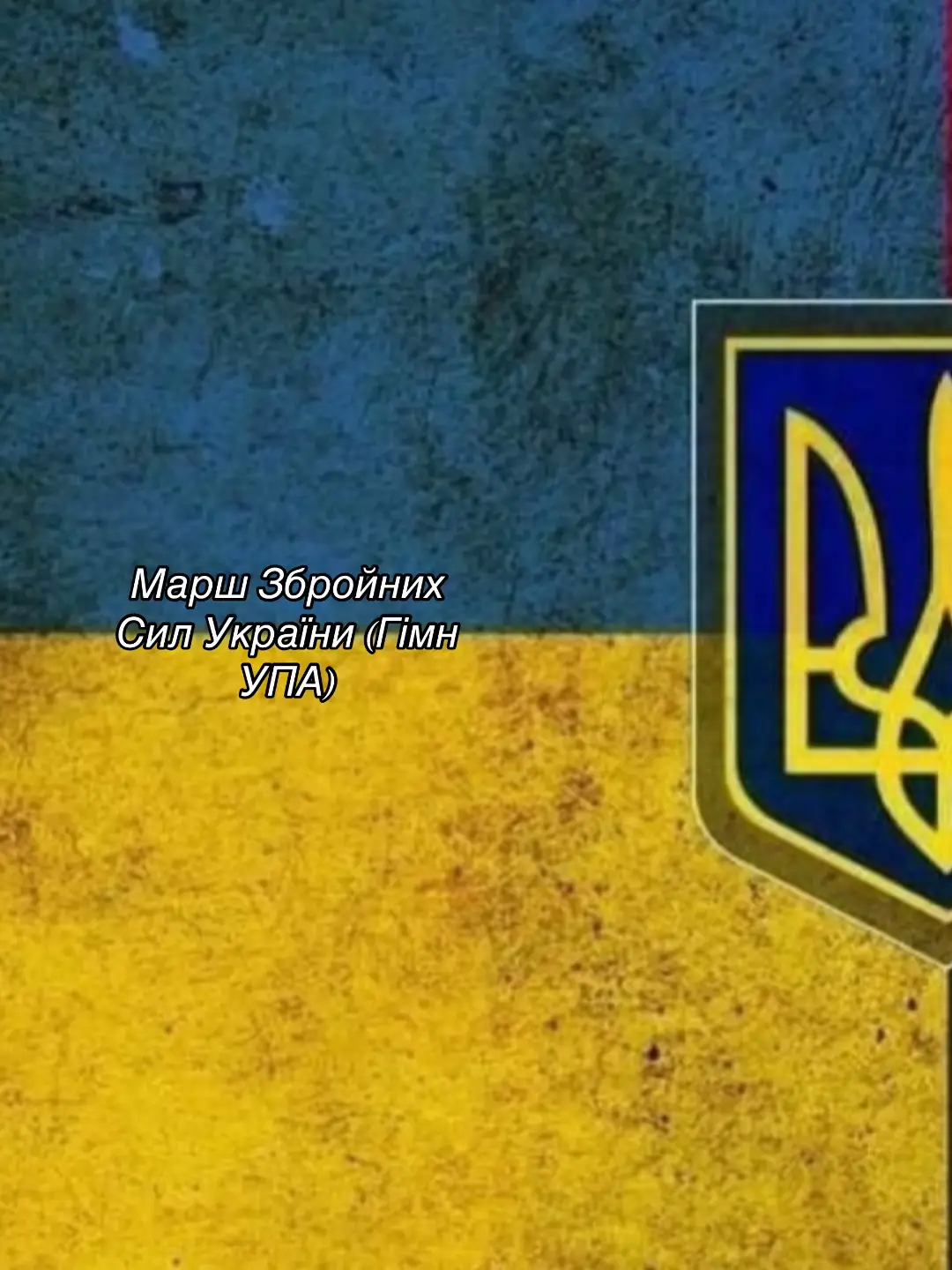 #україна #упа #бандера #славаукраїні🇺🇦🇺🇦🇺🇦 #укоаїнапонадусе🇺🇦💙💛 #🇺🇦 