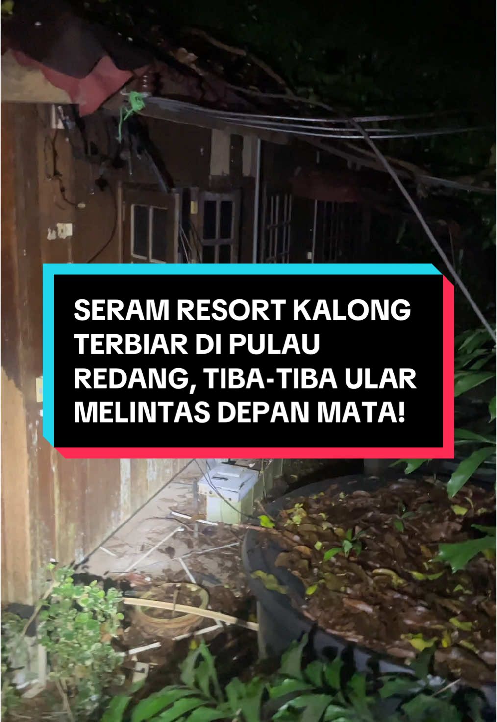 Satu BINAAN yang terletak di LERENG BUKIT, dan keadaan strukturnya yang sudah REPUT dan berisiko tambahan pula di malam hari, satu-satunya ruangan yang GAGAL kami masuki di siang hari..memaksa kami berhati-hati di setiap langkah, terbayang KEINDAHAN resort ini di masa lalu ketika memasuki setiap BILIK PENGINAPAN!..menurut cerita daripada orang tempatan di pulau ini, katanya di sekitar Resort Kalong ini terdapat BANYAK KUBUR LAMA yang sudah tidak kelihatan!..Paling NGERI setelah selesai rakaman, tiba-tiba kejadian tak terduga bila SEEKOR ULAR tiba-tiba MELINTAS depan MATA!.. TONTON VIDEO PENUH DI YOUTUBE : SHUKRI VLOGS #fyp #foryou #viral #urbanexplorer #urbanexploring #shukrivlogs #pulauredang #redangisland #terengganu #foryoupage #seram #misteri 