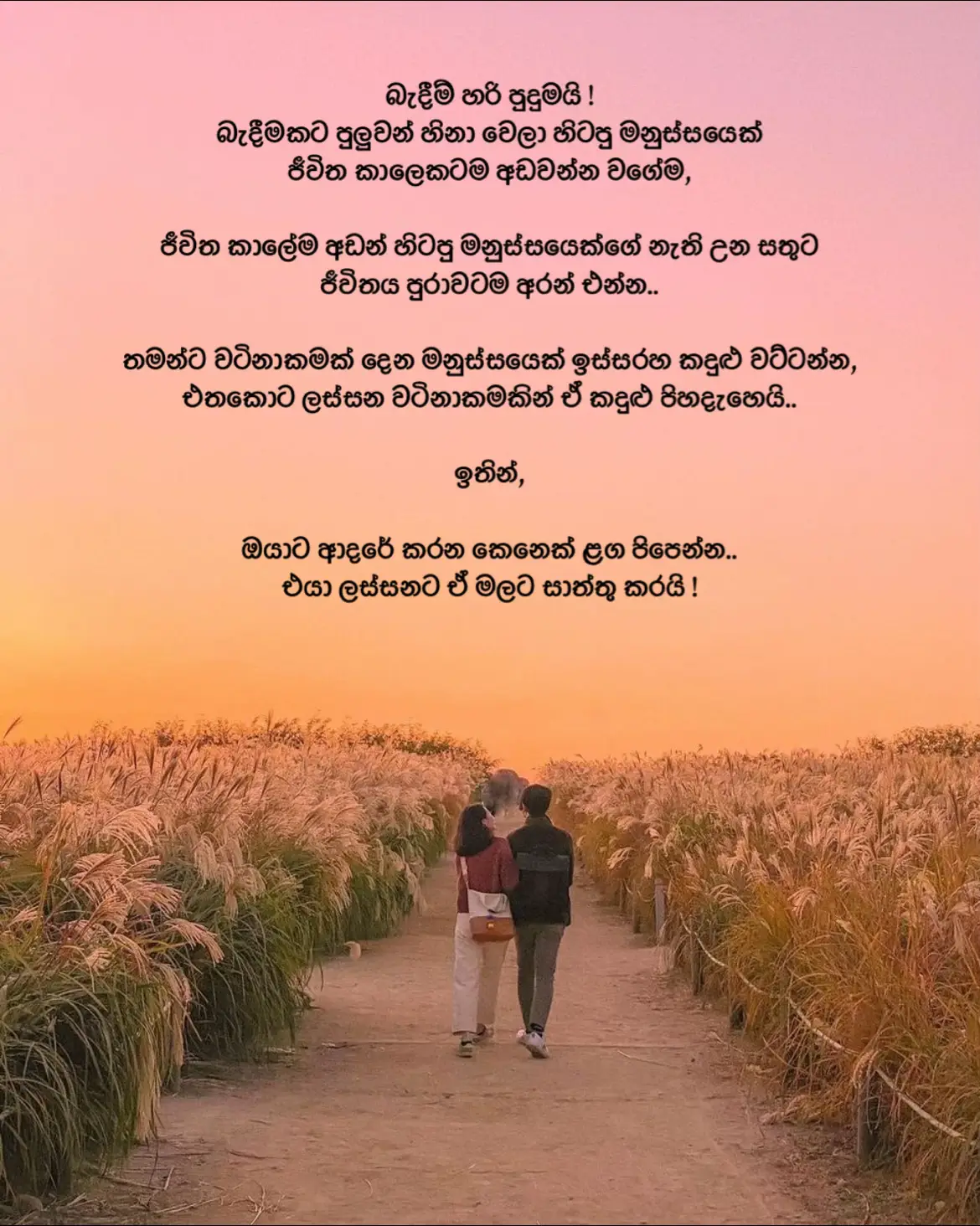 ඔයාට ආදරේ කරන කෙනෙක් ළග පිපෙන්න, එයා ලස්සනට ඒ මලට සාත්තු කරයි !💌🫂 #fyp #viral #1millionaudition #explore #Love #tiktok #trending #sinhalasong 