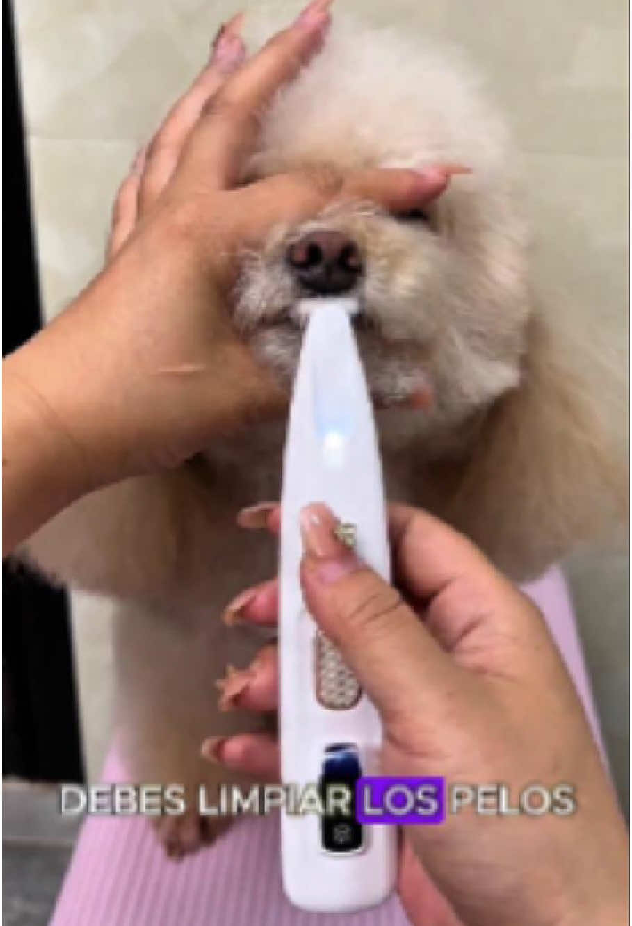2025 New Pet Paw Trimmer!The ceramic blade won't hurt them at all!#pets #dogs #cats #dogtok #cattok #pet trimmer #fyp #foryoupage#tiktokshop #tiktokshoprestock #tiktokmademebuyit #fashion#trending#viral#Summer#tiktokshopfinds#tiktokshopcreatorpicks#tiktokshopholidayhaul#giftideas#tiktokshopspringglowup#goodthingstoshare #shopping #comeback#qvctiktoksuperbrandday 