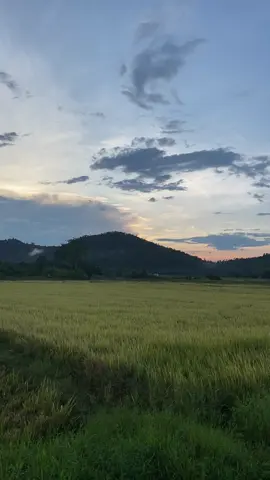 indahnya ciptaan tuhan.❤️ #kampunghalaman  #sawahpadi  #anakkampung  #ketenangan