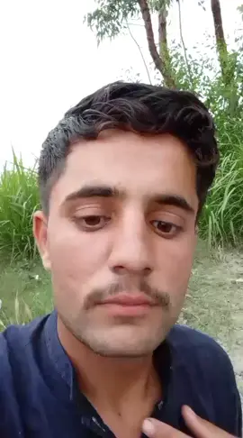 shoaib ta dalayea