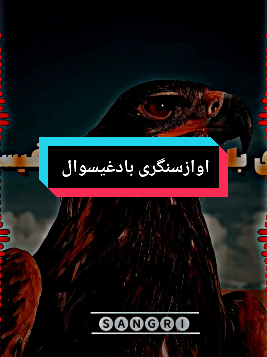 #sANGRl  #pashtun_tiktok  #pashtopoetry #pashtolines27 #pashtostatus #foryoupage pashtoshayari#pashtosong # #pashto #foryou #fyp #viral #aacount 20#sANGRl@🎭@