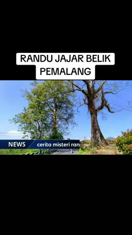 randu jajar belik pemalang