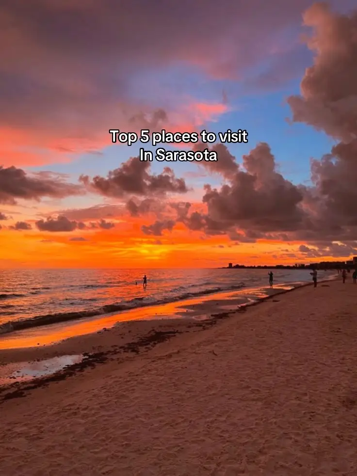 #creatorsearchinsights  #travelcontent #postthecontent #howtogoviralontiktok  #florida #floridatravel