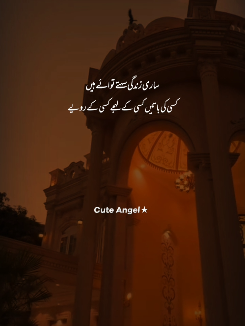 #unfreez #deeplines #hazalcore_ #standwithkashmir #💫glintofthoughts💫 