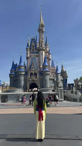 POV: Your niece asks you to go to Disney for her birthday dressed as a princess.#magickingdom #disneyprincess #mulan 