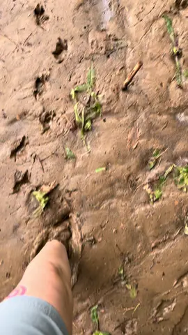 My hiking adventure that I will laugh about forever #hike #hikefails #mud #adventure #getoutside #happy #fyp #hikeformentalhealth 