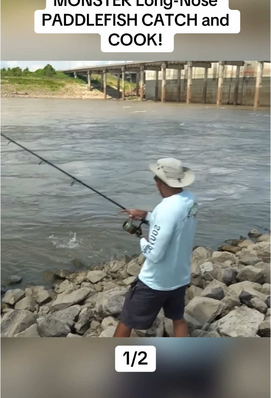 MONSTER Long-Nose PADDLEFISH CATCH and COOK! Part1 #fishing #zakcatchem #fis 