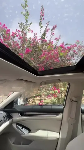 #riyadh #explore 