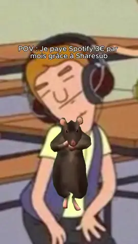 Sharesub, un vrai bon plan de rat 🐀 #pov #sharesub #spotify #bonsplans #streaming #rat #humour #LifeHack #fyp #pourtoi