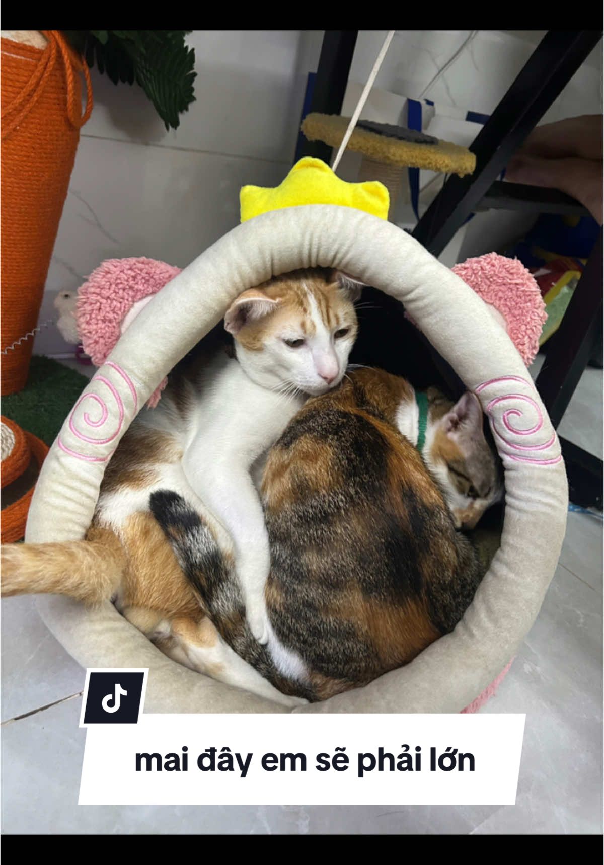 2 đứa bây nhỏ nhỏ lại giùm t cái