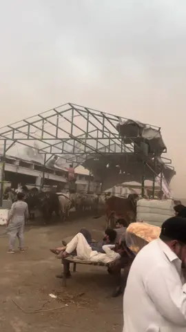 Ring road mandi #😍😍😍 